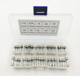 100 x flinke Glassicherungen, Set 20 x 5 mm, flinke Amperewerte 0,2 A, 0,5 A, 1 A, 2 A, 3 A, 5 A, 6 A, 8 A, 10 A, 15 A
