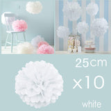 10 X 10 inch 25 cm pompoms decorations white paper flower balls