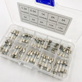 100 x flinke Glassicherungen, Set 20 x 5 mm, flinke Amperewerte 0,2 A, 0,5 A, 1 A, 2 A, 3 A, 5 A, 6 A, 8 A, 10 A, 15 A