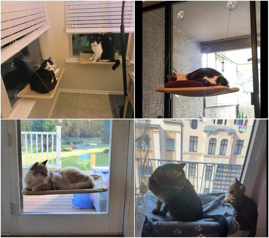 Am Fenster montierte Katzen-Hängematte + Katzendecke mit Saugnapf zum – JZK