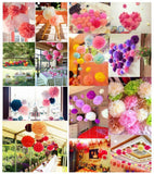 10 x 10 inch 25 cm tissue pom poms pompoms decorations accessories for wedding birthday baby shower