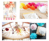 10 x 10 Zoll 25 cm Seidenpompons Dekorationen Zubehör Papierblumenkugeln für Hochzeit
