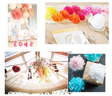 10 x 10 inch 25 cm tissue pompoms decorations accessories paper flower balls for wedding