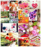 10 x 10 Zoll 25 cm Pompons aus Seidenpapier, Pompons, Dekorationen, Zubehör, Papierblumenbälle, Partyzubehör